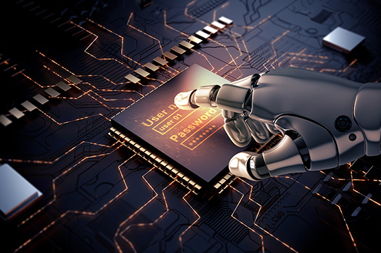 博高